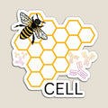 Bee/B-cells (lymphocytes) magnet